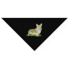 SOL'S Bandana Thumbnail